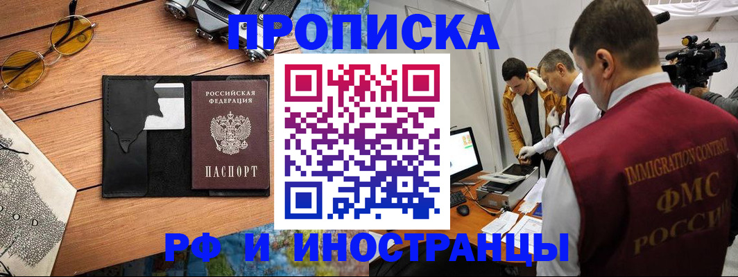 прописка поиск в Камышине